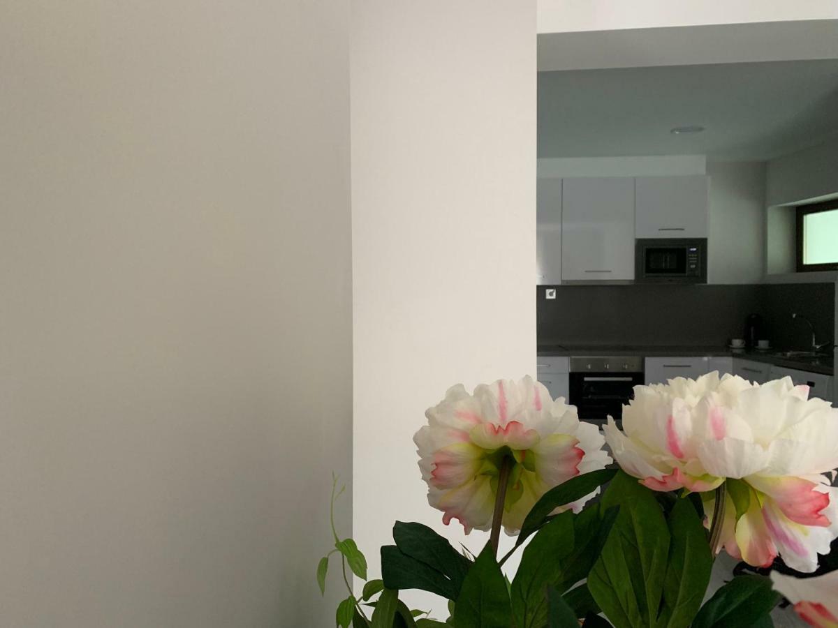 Apartamentos M.Bell León Exteriör bild